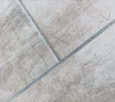 Carreaux creux, joint qui se fissure