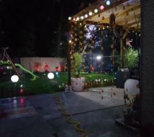 Mon jardin illuminé par des lampes solaires.