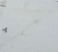 Premiers fissures