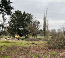 Enlèvement des végetaux avant le début de la construction