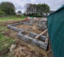 Vide-sanitaire en cours