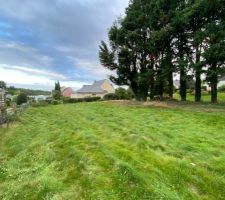 Pour commencer notre reçit, voici notre terrain (905 m2).
La partie nord de ce terrain est occupée par 14 arbres (30m).
Ces arbres sont en mauvais état et avec l'accord de la mairie, nous avons du les faire abattre.