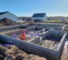 Vide sanitaire en cours