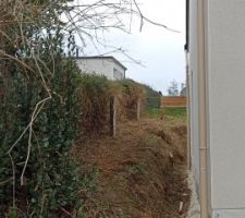 Haies taillées, heureusement nous on avance
