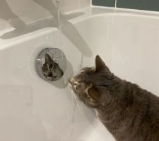 1er à tester la baignoire