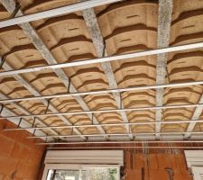 Rail pour le plafond