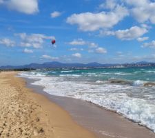 Kite
