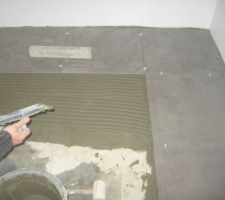 Carrelage douche (60 x 60)