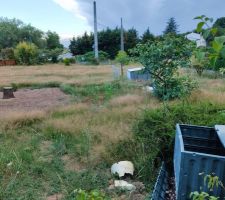 Terrain en 2023