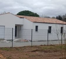 Crépis façade 5