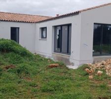 Crépis façade 2