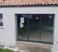 Crépis façade 3
