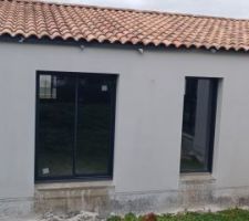 Crépis façade 4