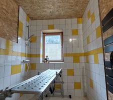 Plafond de la salle de bain : essais, en OSB