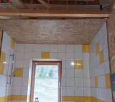 Plafond de la salle de bain : essais, en OSB