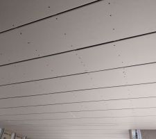 Plafond avant projection plâtre