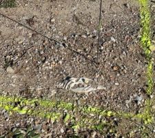 Traçage des fondations