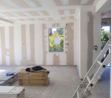 Bandes placo r&eacute;alis&eacute;es salon c&ocirc;t&eacute; ouest