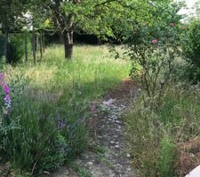 Verger magnifique mais impossible a garder en l'&eacute;tat pour le projet maison