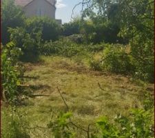 Entrée du terrassier pour la démolition et dessouchage