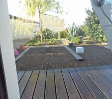 Le saule pleureur