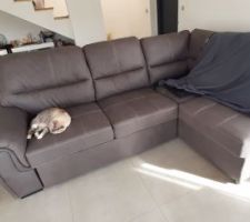Choix de canapé  de Conforama au salon de la maison 2022.