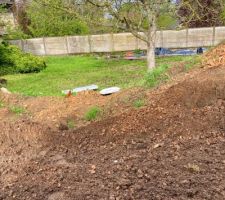 Le vent a fait tomber les entrevous par terre jusque sur la pelouse !