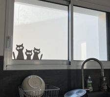 Trois chats curieux apparaissent à la fenêtre de la cuisine