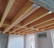 Après démolition du plafond (retrait des lattes, de la terre, de la paille) et retrait des solives trop abîmées, un re-solivage a été fait par un pro. La suite du chantier est pour nous...