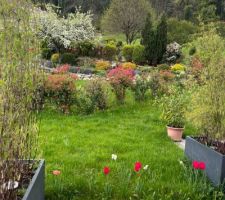 Les haies aussi se d&eacute;veloppent