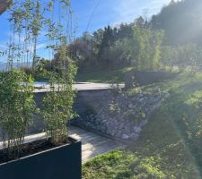 Espace piscine : jardinières bambous pour créer des brise-vues