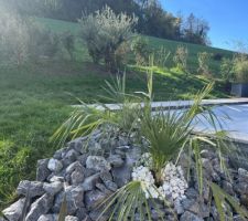 Massif méditerranéen : erreur de couleur des minéraux...