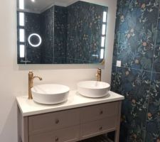 SUITE DE NOTRE CHAMBRE