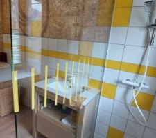 Salle de bain :fini (non, pas les murs, ni l'électricité)
