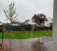 Nouvel Amenagement côté sud avec la pelouse qui apprécie la pluie