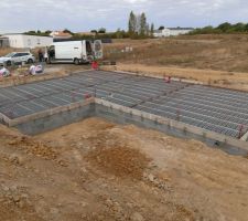 Vide sanitaire en cours