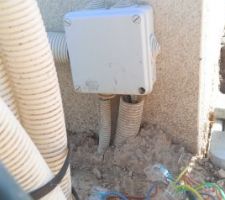 C&acirc;ble &eacute;lectrique non prot&eacute;ger