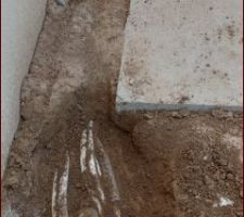 La d&eacute;couverte du c&acirc;ble &eacute;lectrique non prot&eacute;ger. Pourquoi ???