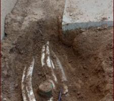 C&acirc;ble &eacute;lectrique noir non prot&eacute;ger