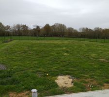 Pose de la cl&ocirc;ture c&ocirc;t&eacute; voisin et plantation des arbres fruitiers