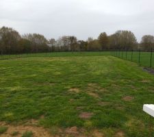 Pose de la cl&ocirc;ture c&ocirc;t&eacute; voisin et plantation des arbres fruitiers et hortensias rhubarbe