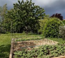 Nouveau jardin potager