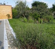 Contour piscine fini, reste à combler de cailloux décoratifs