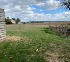 Visite du terrain : c'est en fait la moiti&eacute; de la parcelle que l'on voit sur la photo.