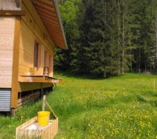 Baignoire pour récupérer un peu d'eau pour le jardin