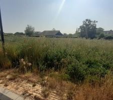 Voil&agrave; &agrave; quoi ressemble notre terrain en friche et le permis illisible tellement on attend. Il faut dire que le permis de construire a &eacute;t&eacute; d&eacute;livr&eacute; en f&eacute;vrier 2022!!!