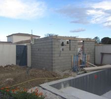 Construction du cabanon de jardin