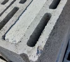 Qui connait la différence entre ces 2 parpaings en terme d'isolation, et quel est leur nom ?