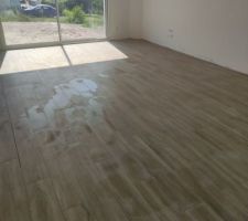 Carrelage salon et cuisine