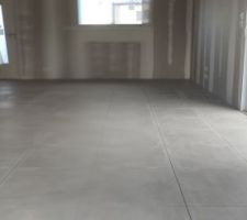 Carrelage pièce de vie